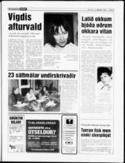 Síða 7