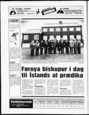Síða 20