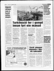 Síða 6