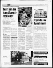 Síða 11