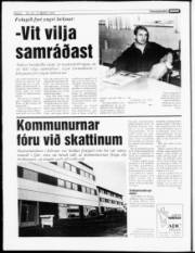 Síða 6