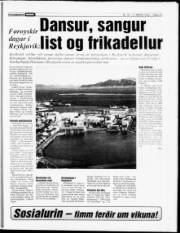 Síða 13
