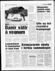 Síða 14