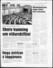 Síða 17