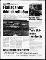 Síða 3