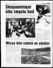 Síða 4