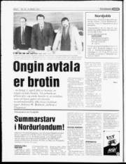 Síða 6