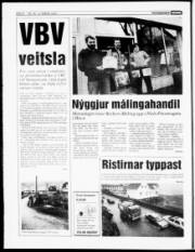 Síða 8