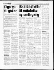 Síða 15