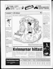 Síða 28