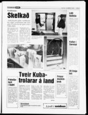 Síða 5