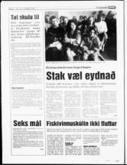 Síða 6