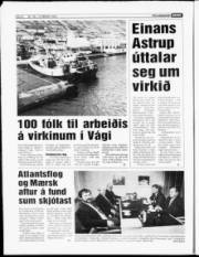 Síða 8