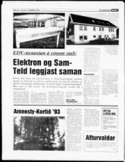 Síða 12