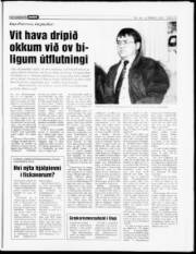 Síða 13