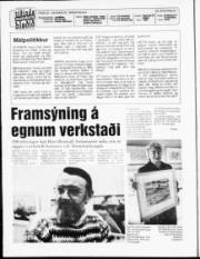 Síða 2