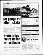 Síða 3