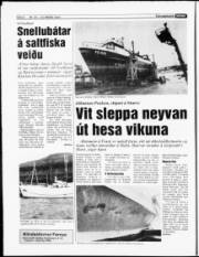 Síða 6