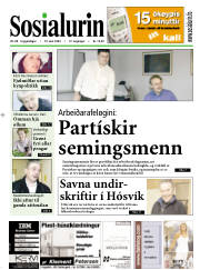 Síða 1