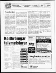 Síða 2