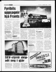 Síða 5