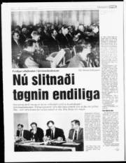 Síða 6
