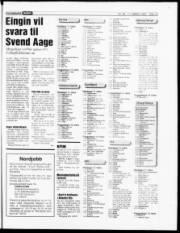 Síða 19