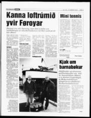 Síða 5