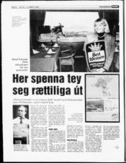 Síða 8