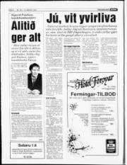Síða 6