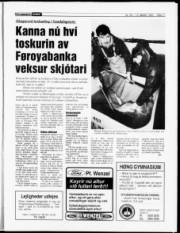 Síða 11