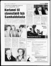 Síða 6