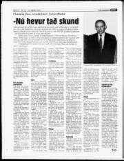 Síða 12
