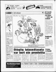 Síða 20