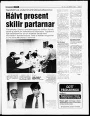 Síða 3