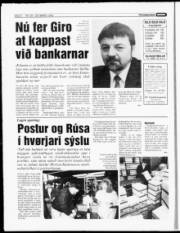Síða 8