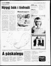 Síða 19
