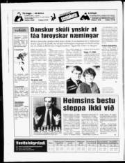 Síða 20