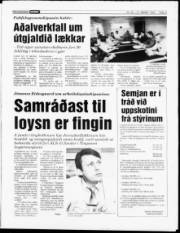 Síða 3