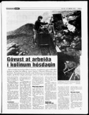 Síða 5
