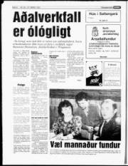 Síða 8