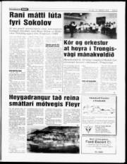 Síða 9
