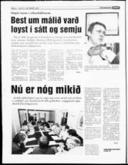 Síða 4