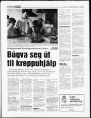 Síða 5