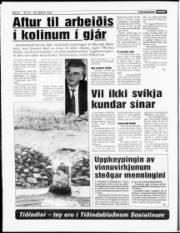 Síða 6