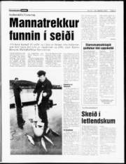 Síða 9