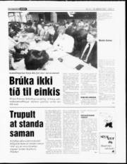 Síða 11