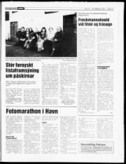 Síða 17