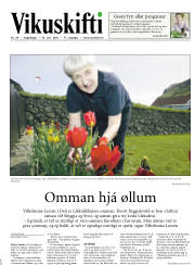 Síða 17