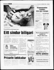 Síða 3